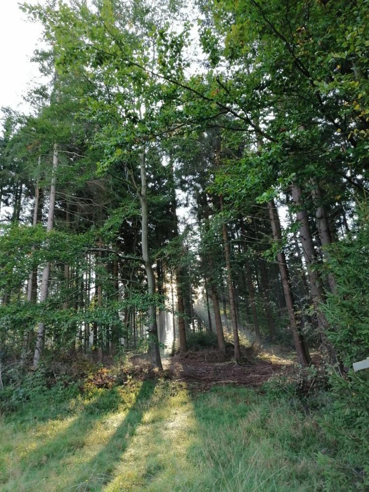 Haagerhof