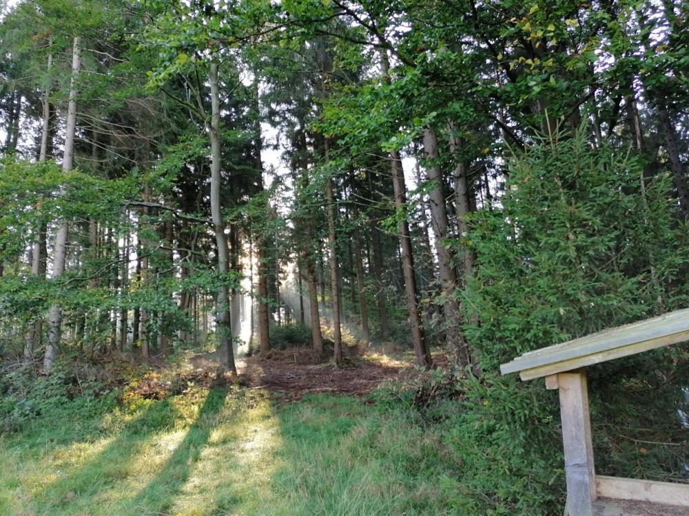 Haagerhof Aigen im Mühlkreis