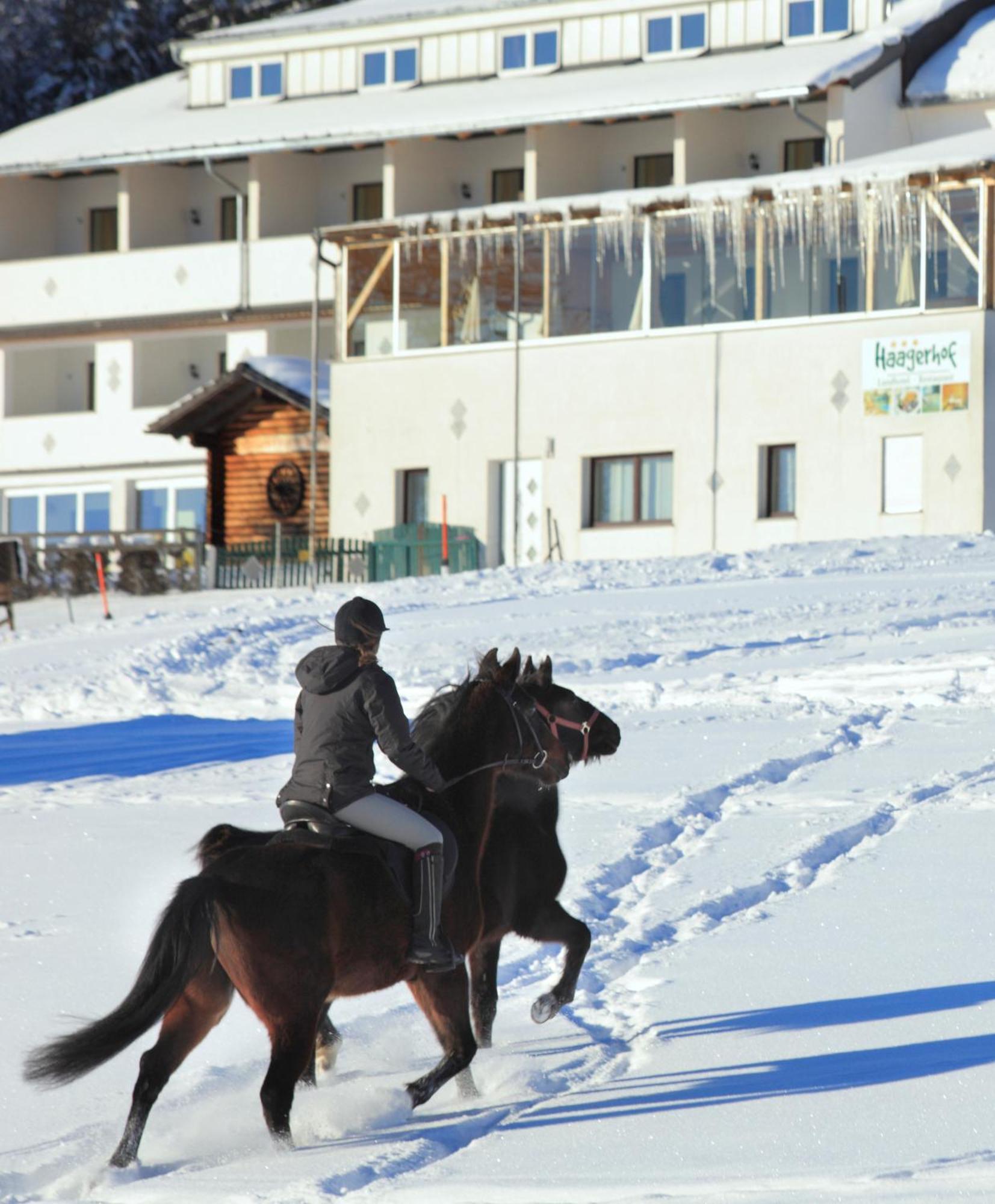 Haagerhof